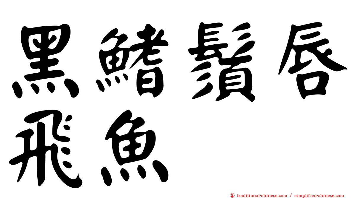 黑鰭鬚唇飛魚