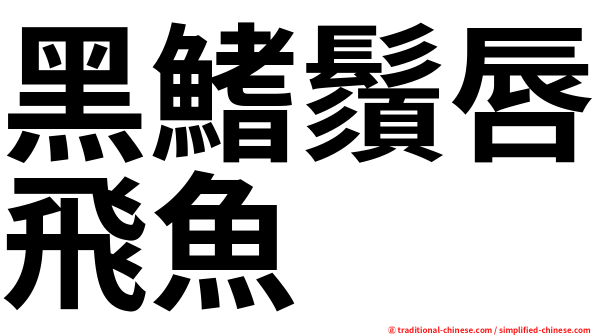 黑鰭鬚唇飛魚