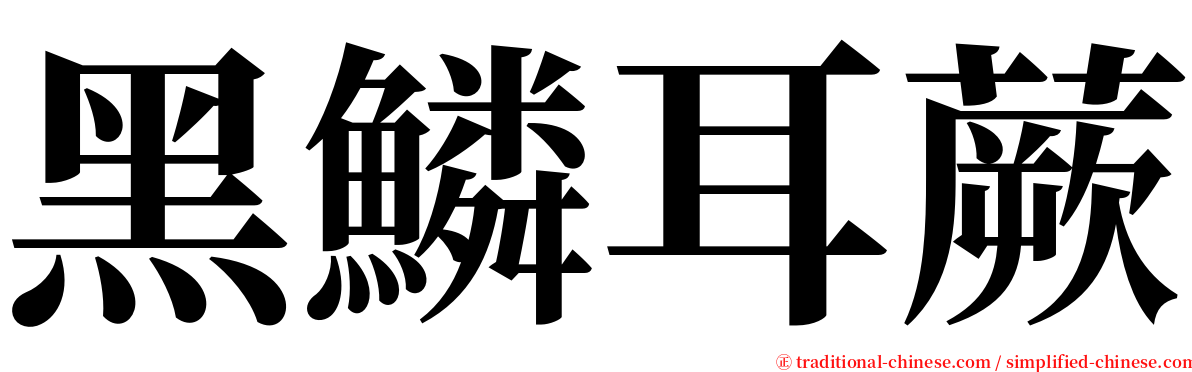黑鱗耳蕨 serif font