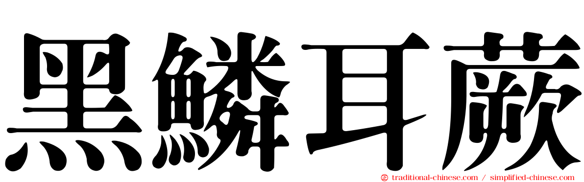 黑鱗耳蕨