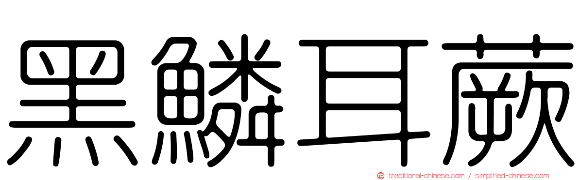 黑鱗耳蕨