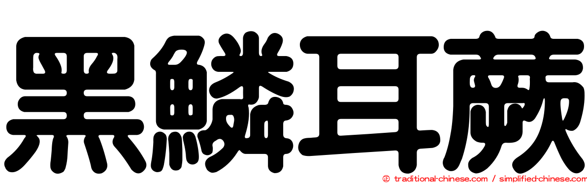 黑鱗耳蕨