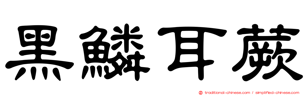 黑鱗耳蕨