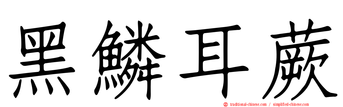 黑鱗耳蕨