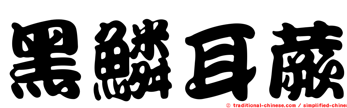 黑鱗耳蕨