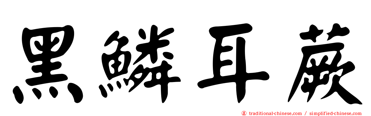 黑鱗耳蕨