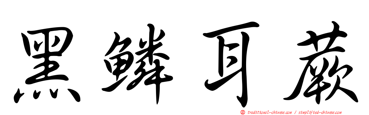 黑鱗耳蕨