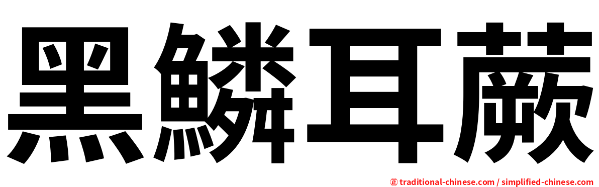 黑鱗耳蕨