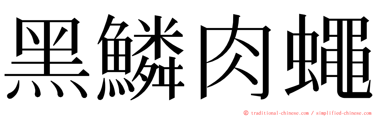 黑鱗肉蠅 ming font