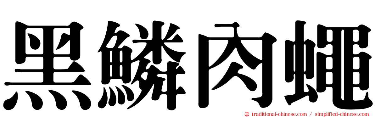 黑鱗肉蠅