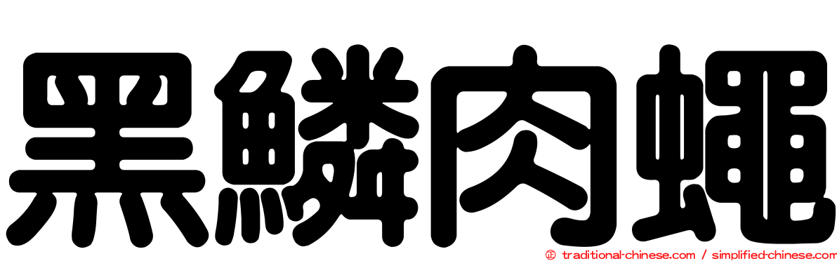 黑鱗肉蠅