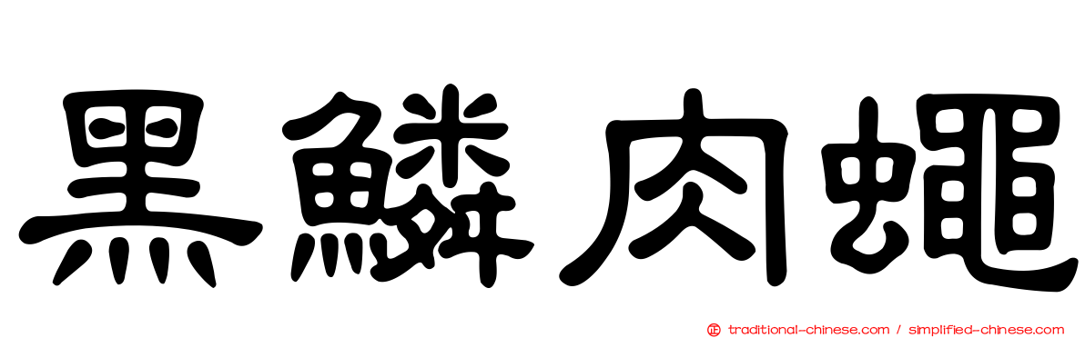 黑鱗肉蠅