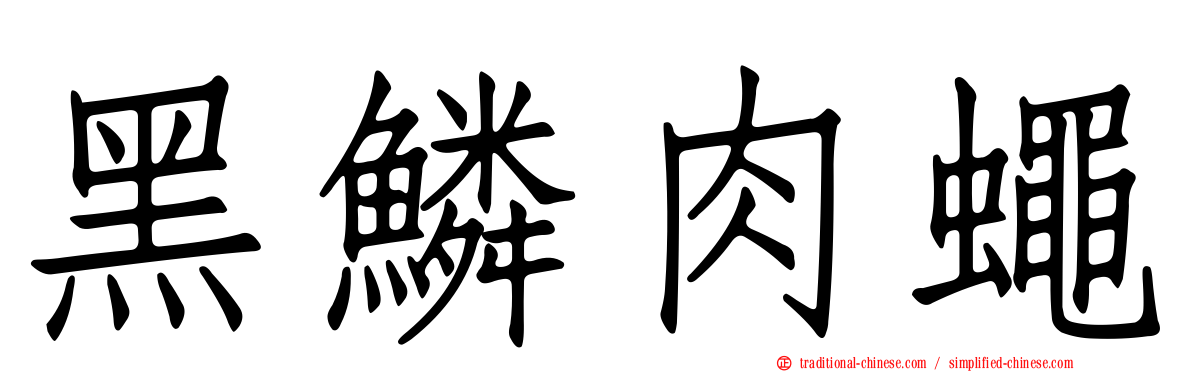 黑鱗肉蠅
