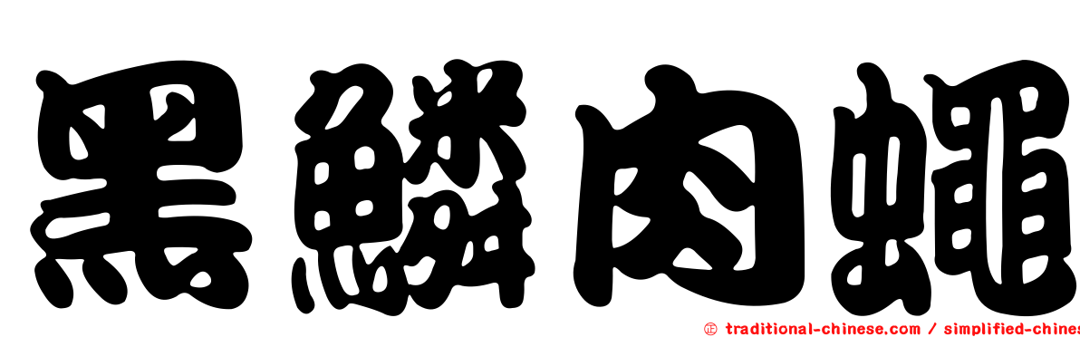 黑鱗肉蠅