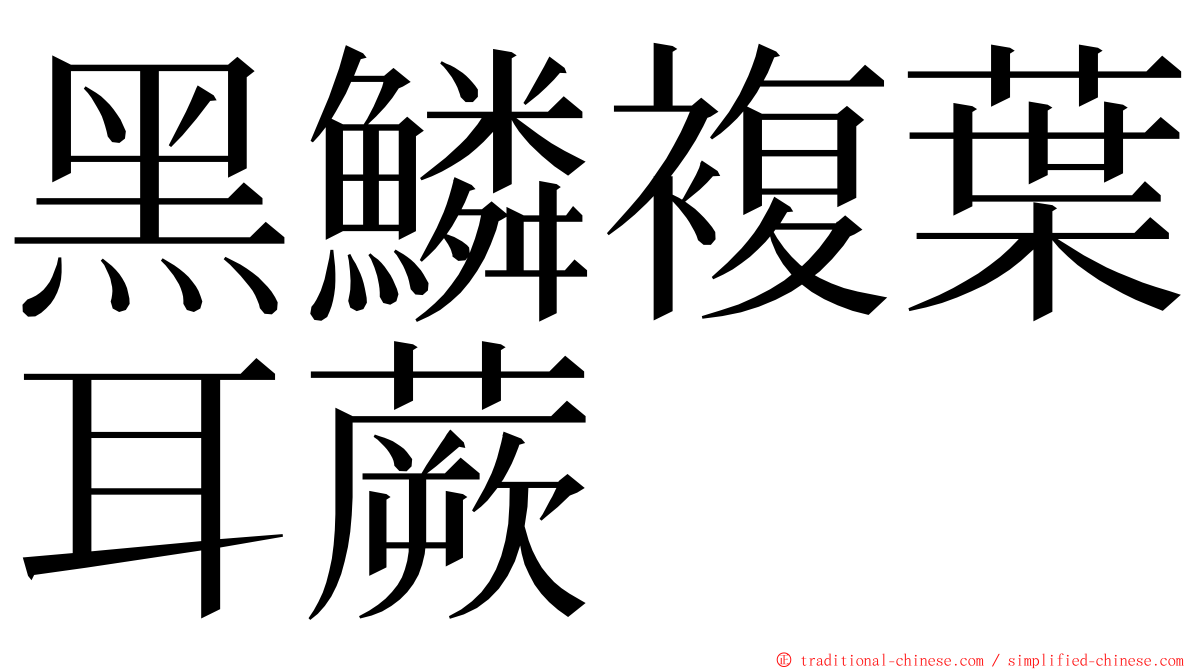 黑鱗複葉耳蕨 ming font