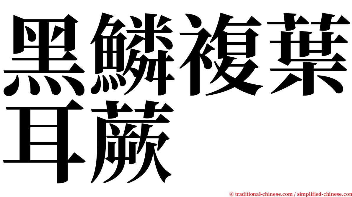 黑鱗複葉耳蕨 serif font