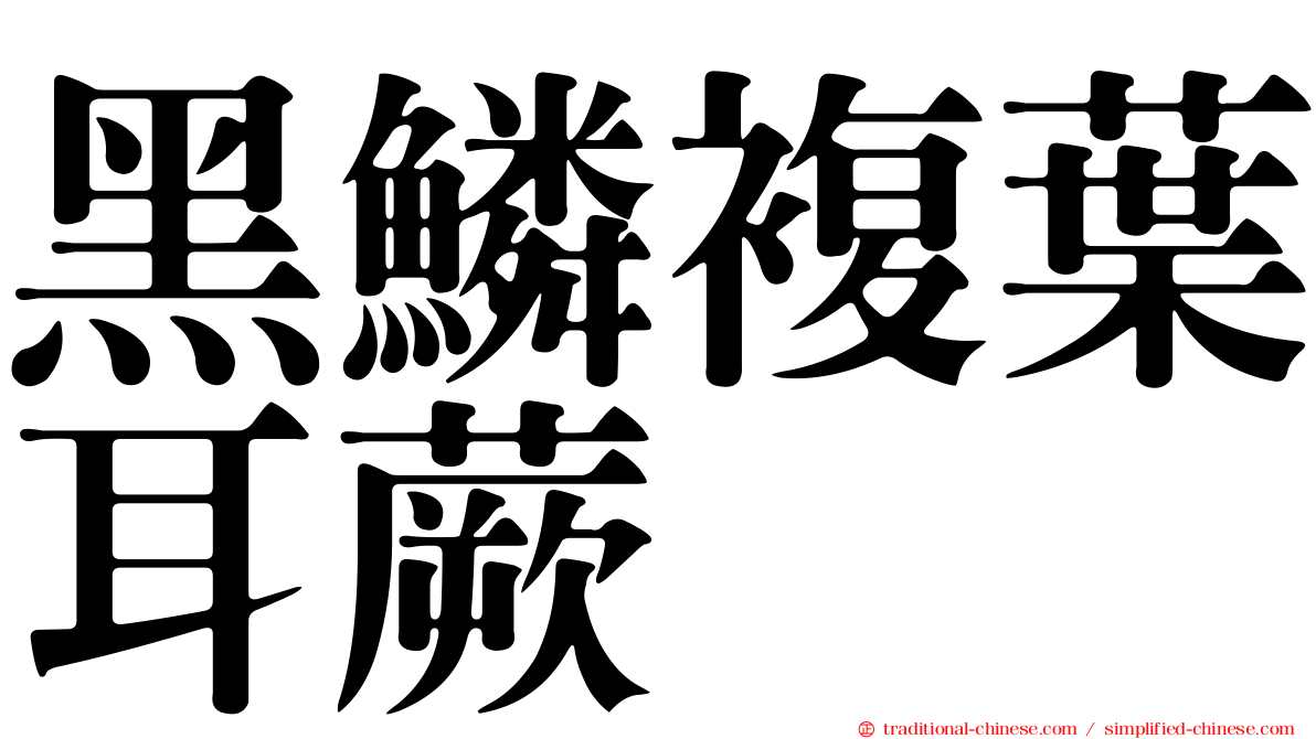 黑鱗複葉耳蕨