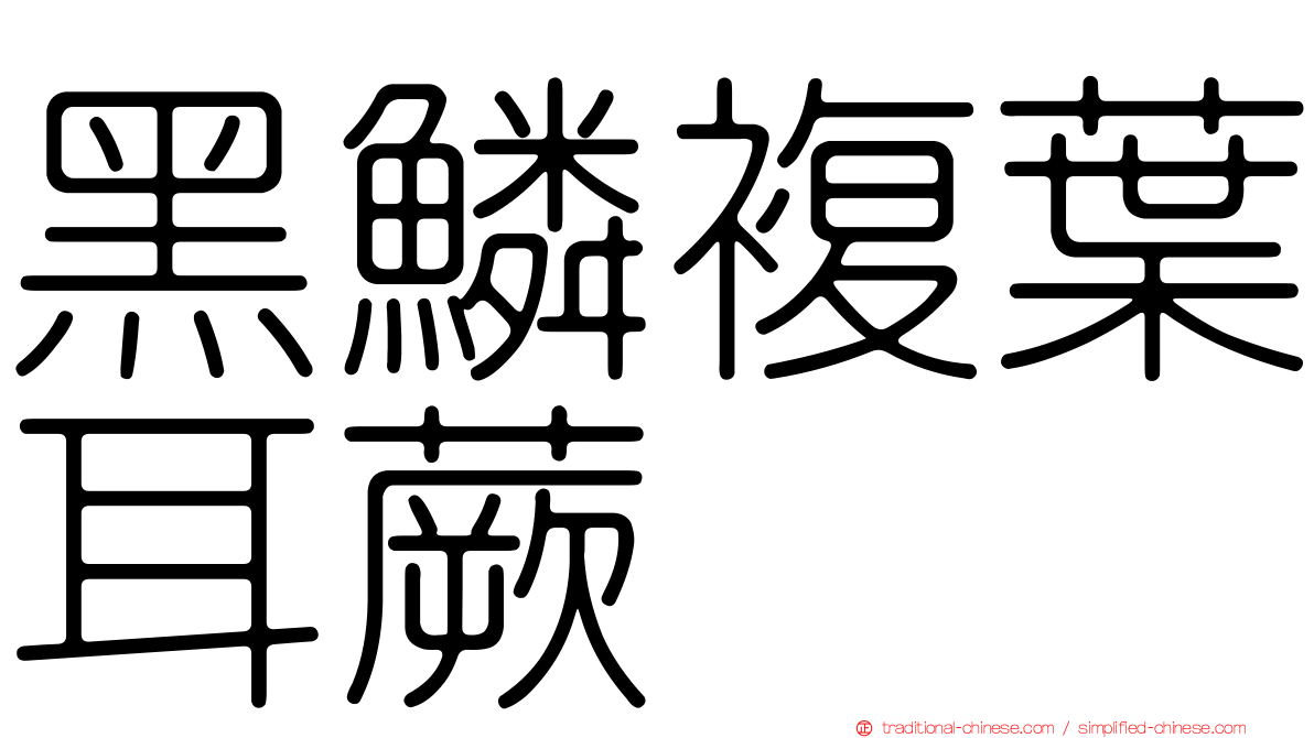 黑鱗複葉耳蕨