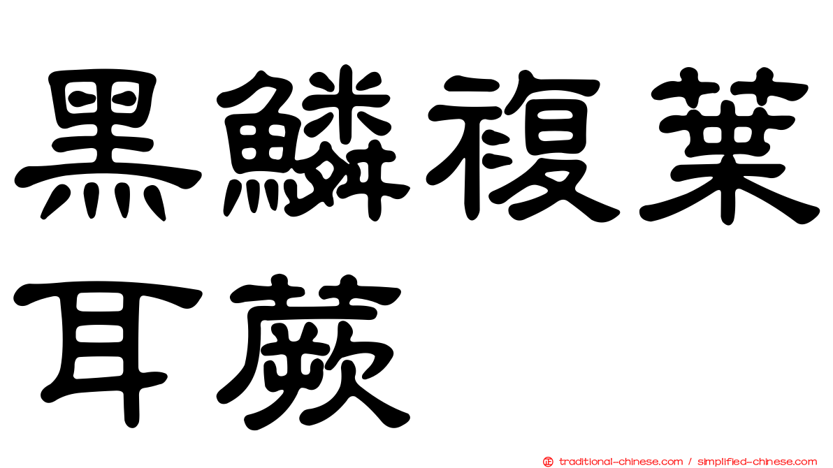 黑鱗複葉耳蕨