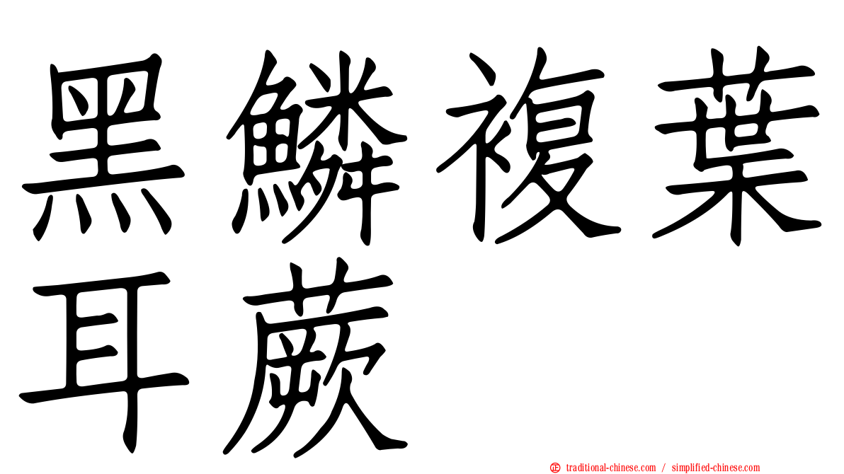 黑鱗複葉耳蕨