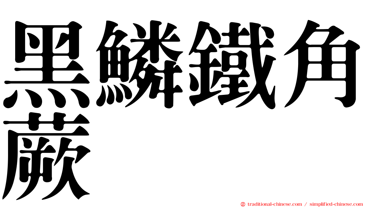 黑鱗鐵角蕨