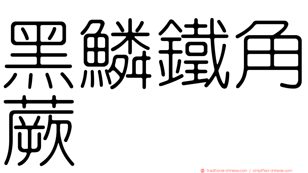 黑鱗鐵角蕨