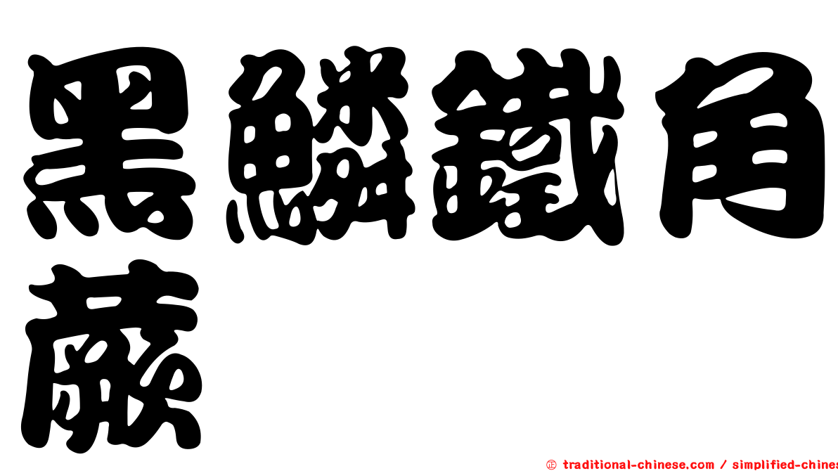 黑鱗鐵角蕨
