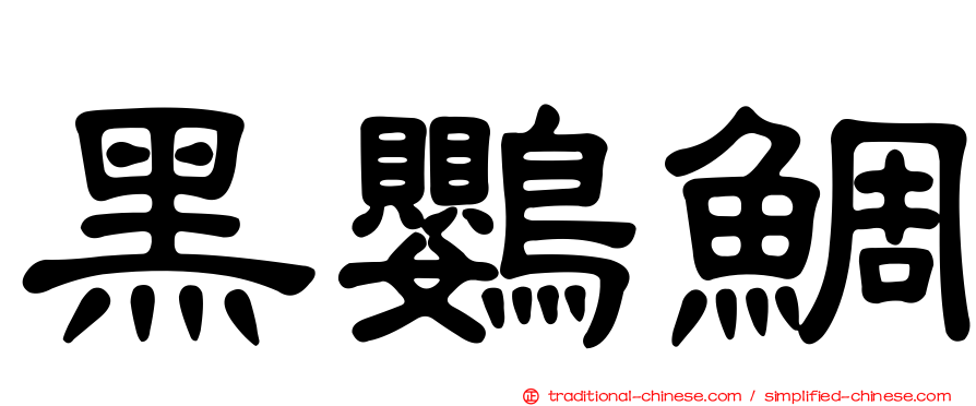 黑鸚鯛