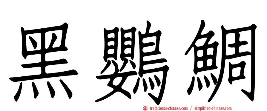 黑鸚鯛