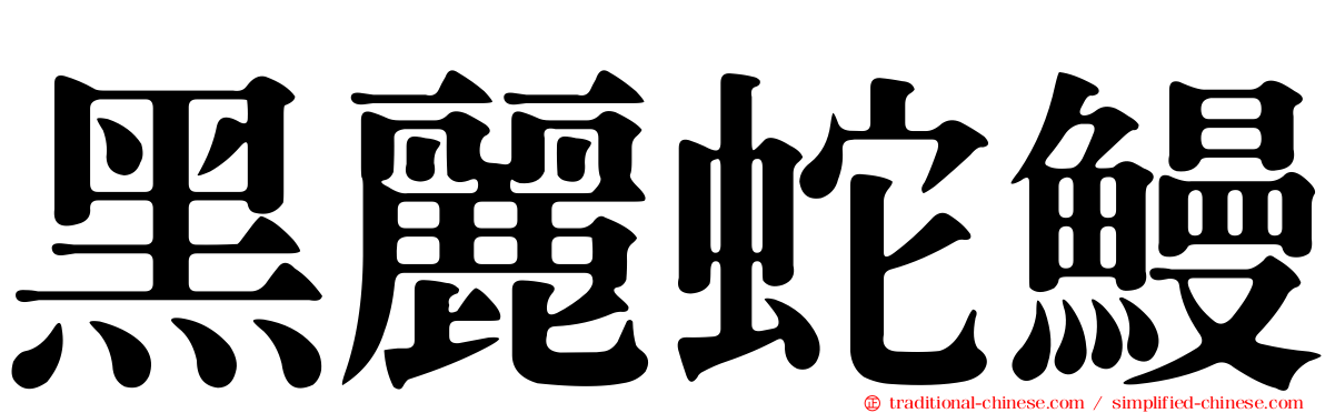 黑麗蛇鰻