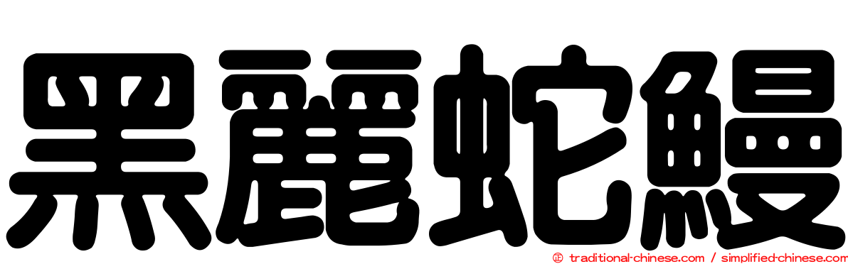 黑麗蛇鰻