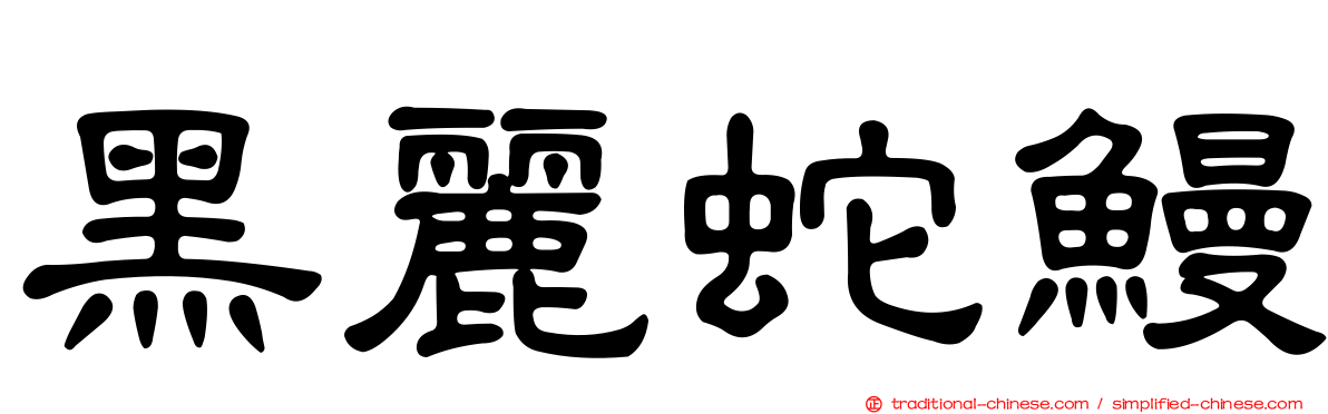 黑麗蛇鰻