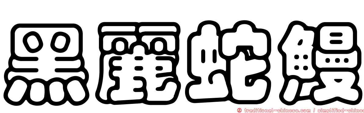 黑麗蛇鰻