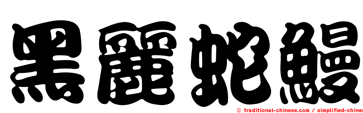 黑麗蛇鰻