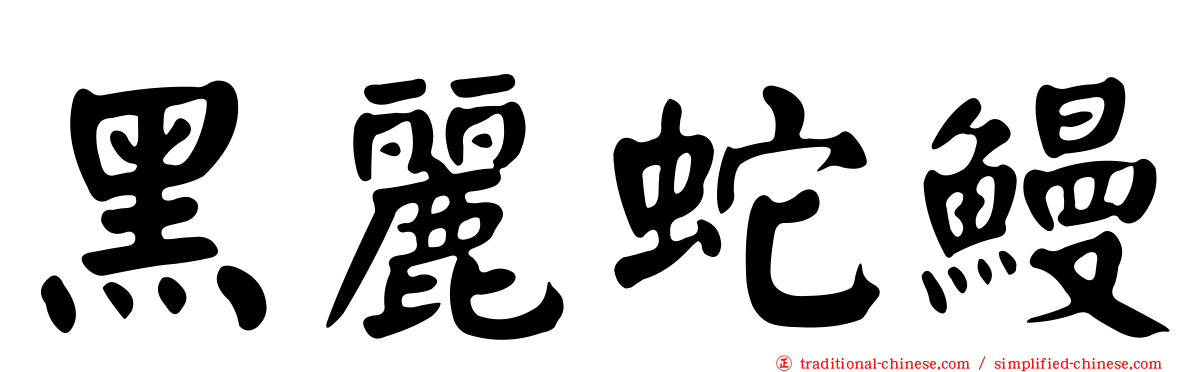 黑麗蛇鰻
