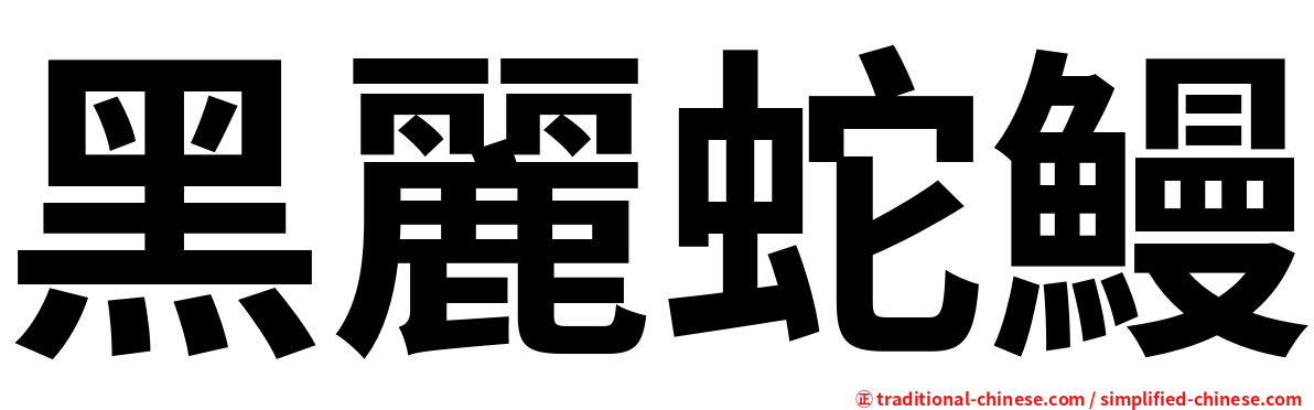 黑麗蛇鰻