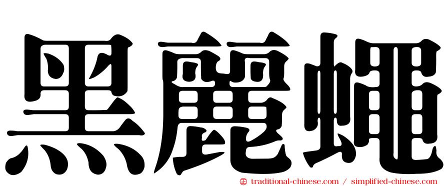 黑麗蠅