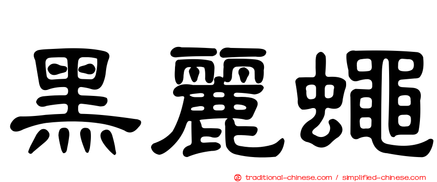 黑麗蠅