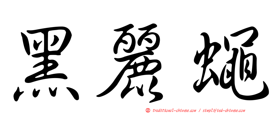 黑麗蠅