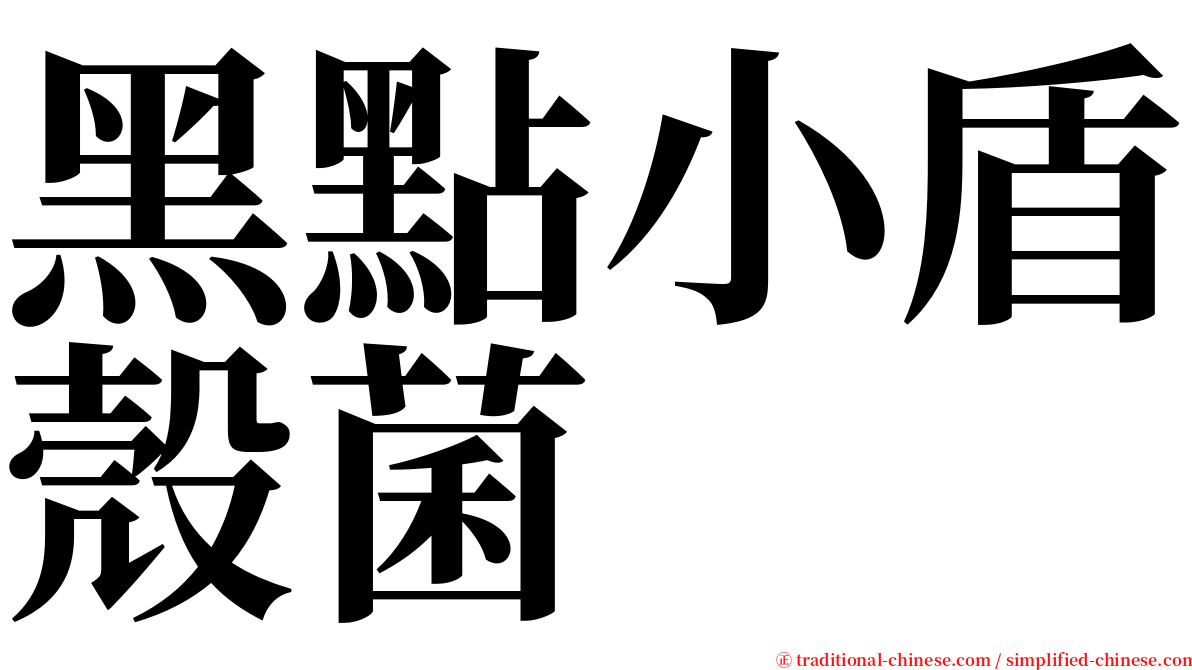 黑點小盾殼菌 serif font