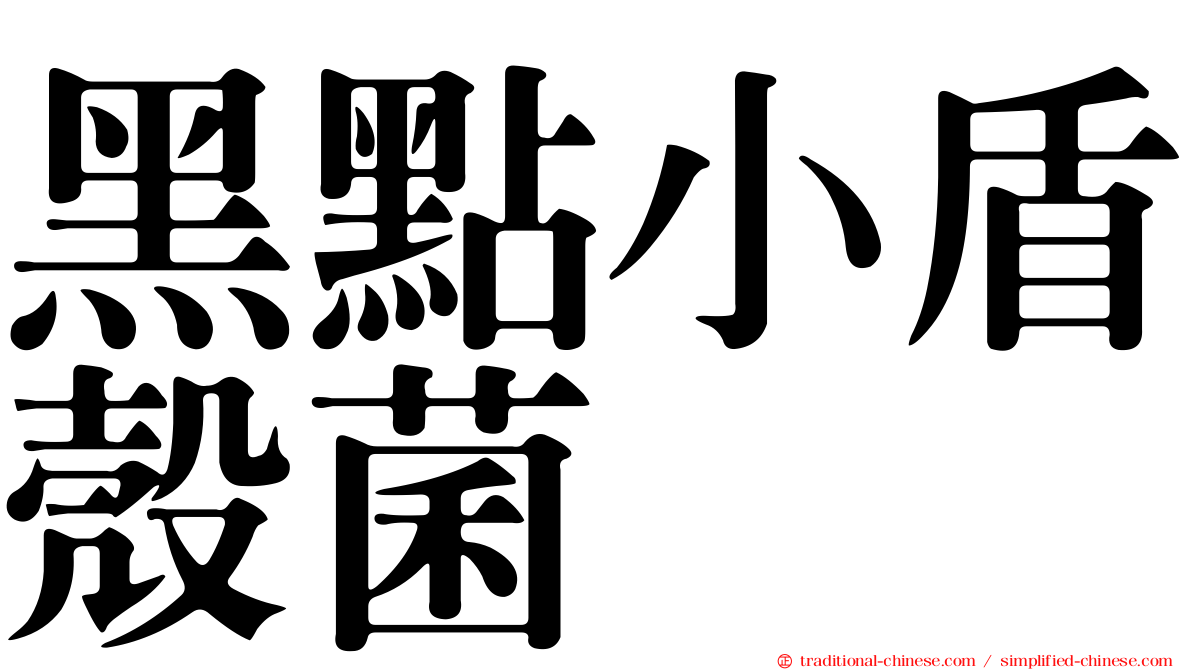 黑點小盾殼菌