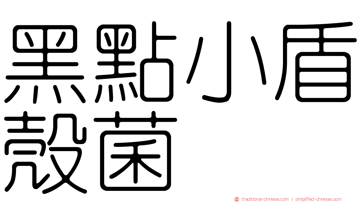 黑點小盾殼菌