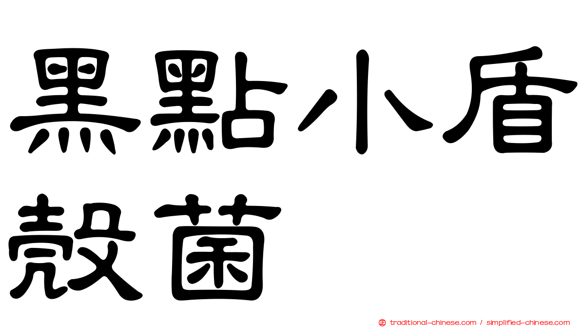 黑點小盾殼菌