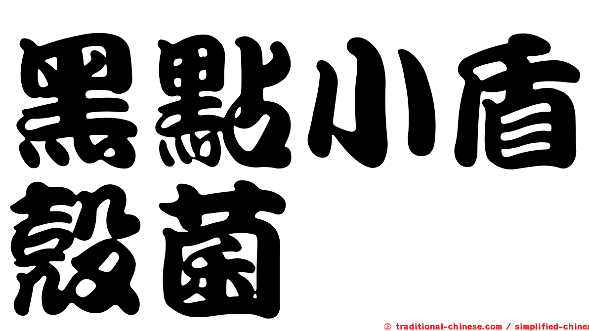 黑點小盾殼菌