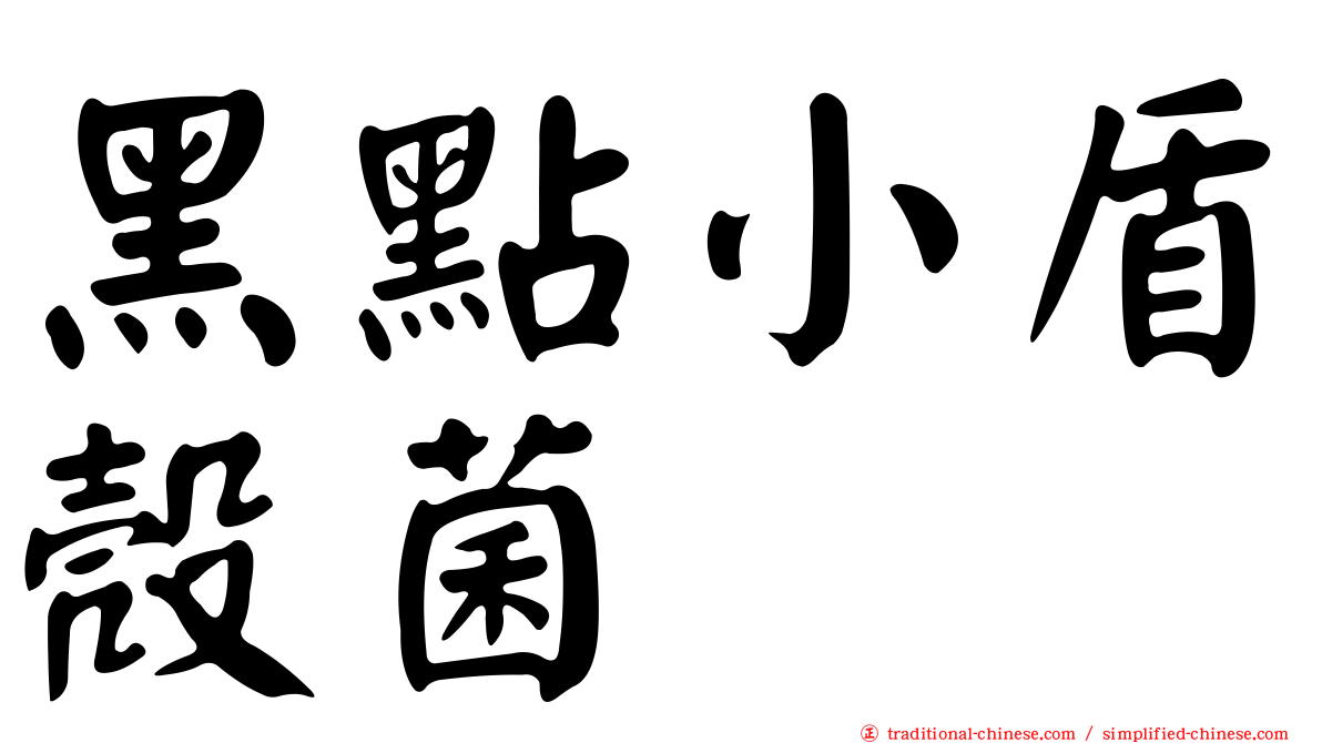 黑點小盾殼菌