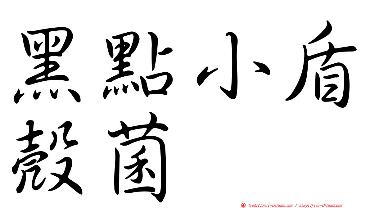 黑點小盾殼菌