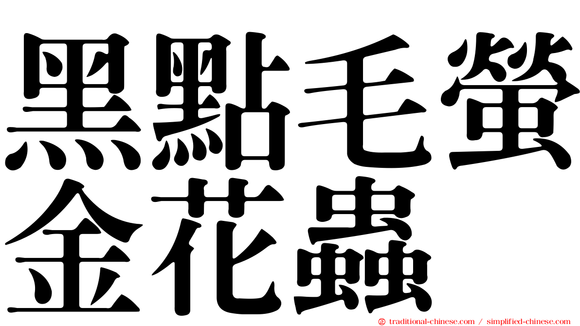 黑點毛螢金花蟲