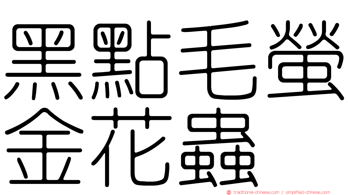 黑點毛螢金花蟲