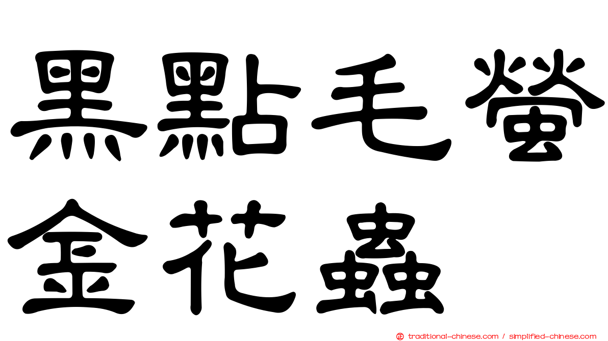 黑點毛螢金花蟲