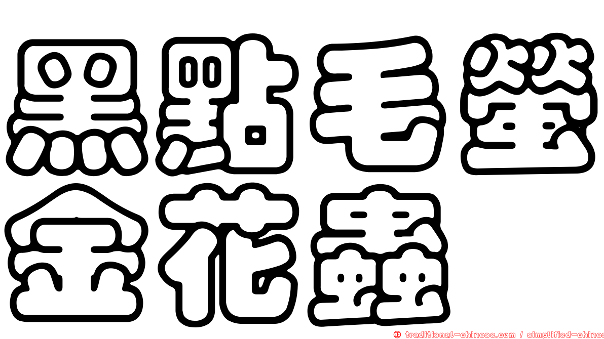 黑點毛螢金花蟲